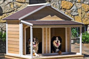best insulated dog houses