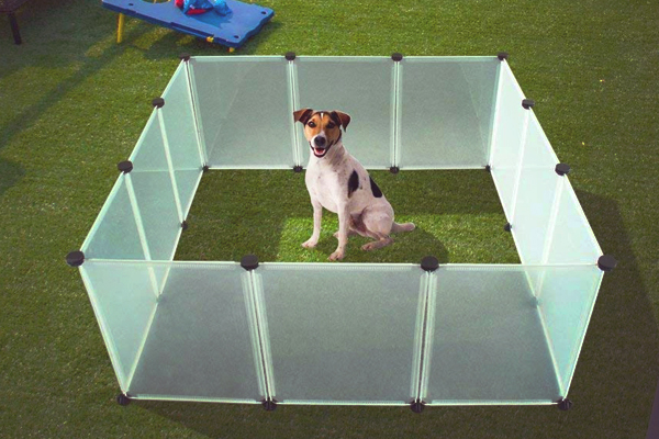 How to Keep a Dog Playpen from Moving | Cratezer